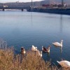 Puentes Alzola y Galindo (Fichas Patrimonio)